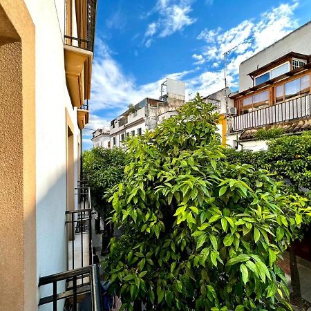 شقة San Fernando De La Ribera قرطبة المظهر الخارجي الصورة