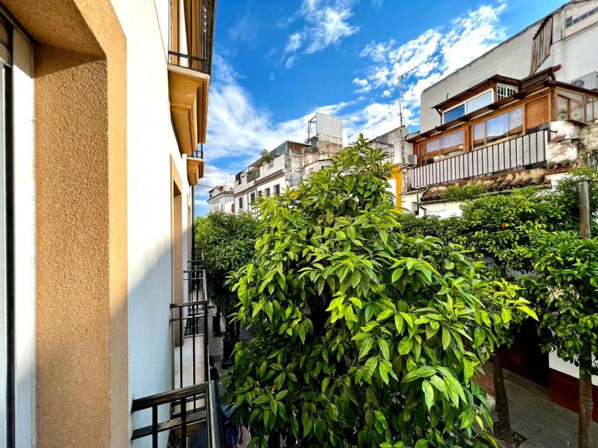 شقة San Fernando De La Ribera قرطبة المظهر الخارجي الصورة